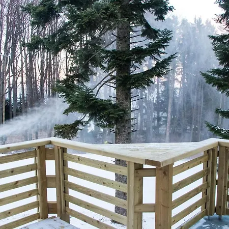 Apartmaji Martin Pohorje *