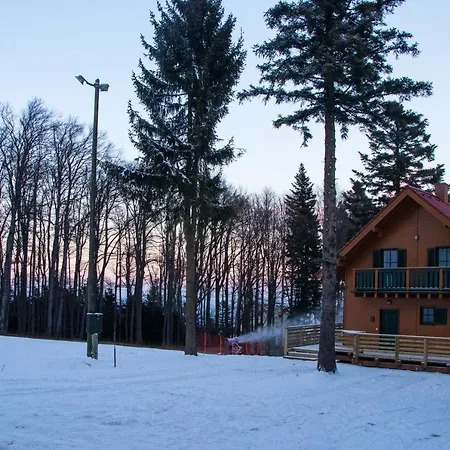 Apartmaji Martin Pohorje *